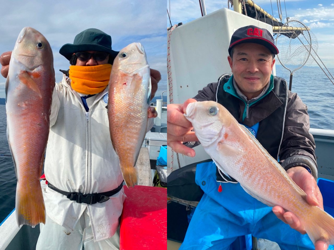 【釣果速報】静岡県山大丸でハイパー高級魚シロアマダイが連続ヒット！魚界トップクラスの味をご堪能あれ！