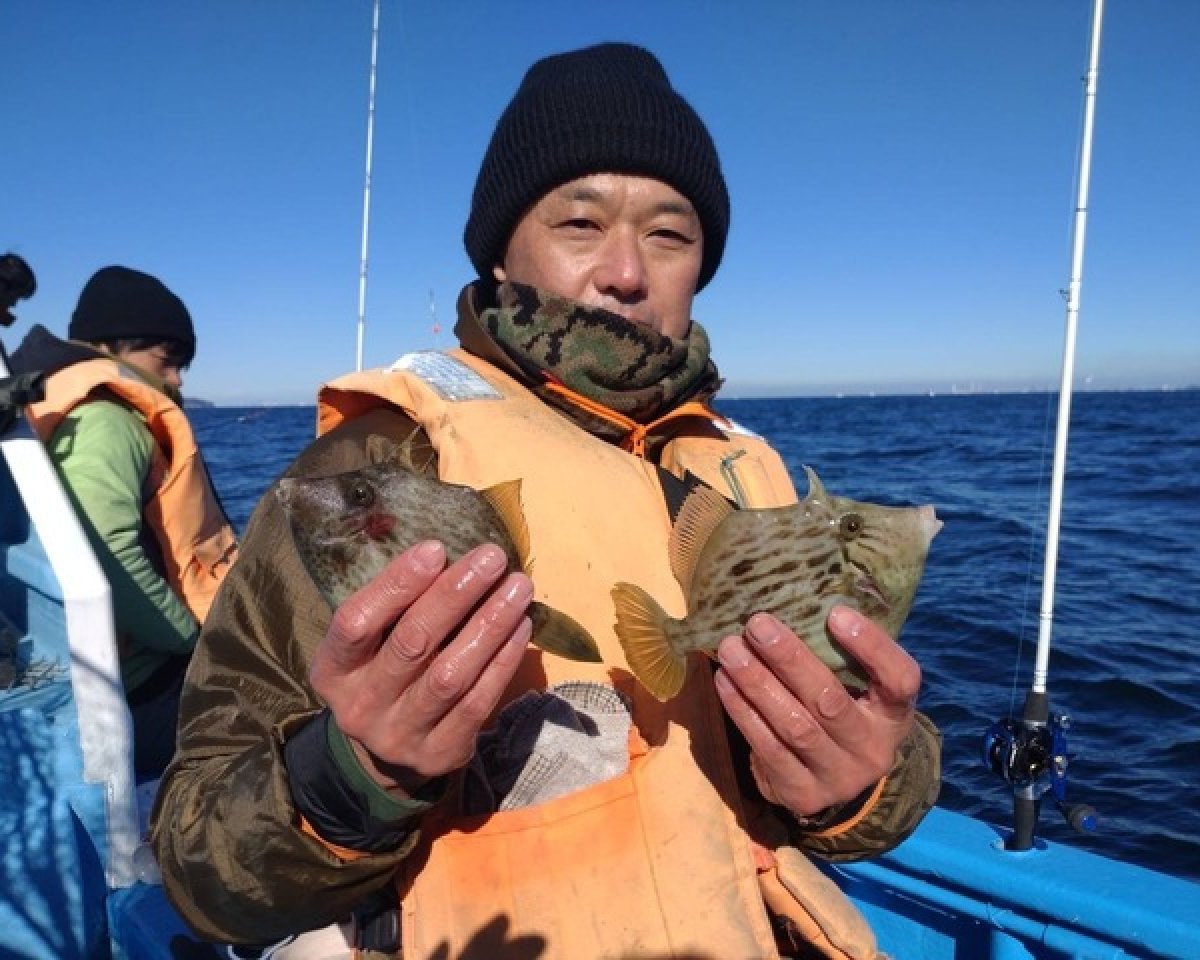 【釣果速報】千葉県福丸で極上の肝パンカワハギをゲット！サイズも26cmを筆頭にビッグサイズ主体！冬の味覚をいち早くゲットしよう！