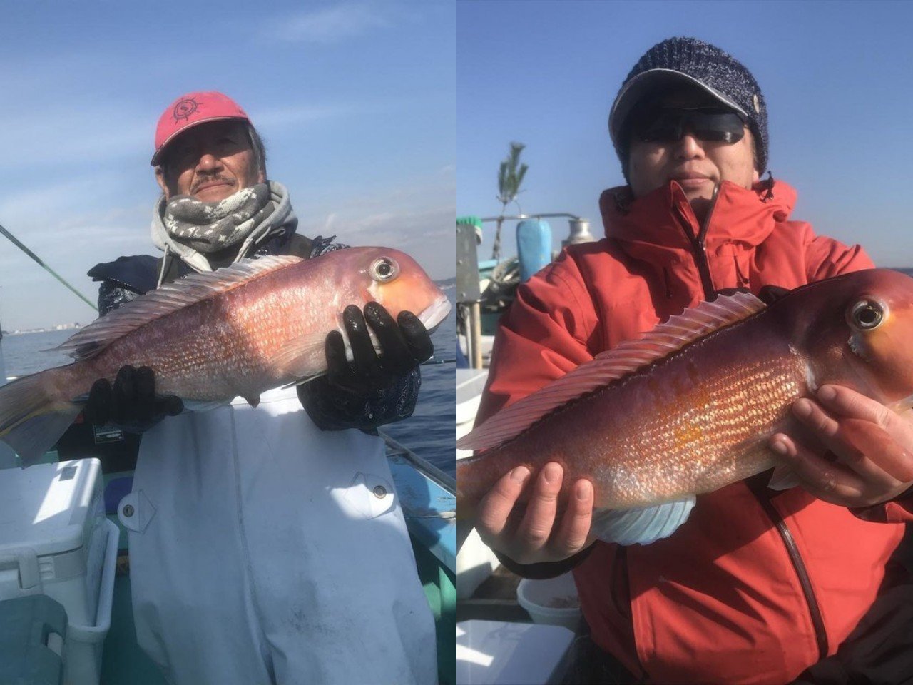 【釣果速報】神奈川県ゆうせい丸で高級魚アマダイGET！最大52cm！オニカサゴやアラなどゲストも超豊富に！