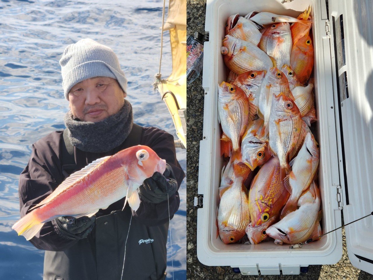 【釣果速報】豪華でカラフルなクーラーボックスが完成！三重県二十一さかぐち丸で高級魚アマダイ＆レンコダイを次々ゲット！今すぐ乗船しよう！        