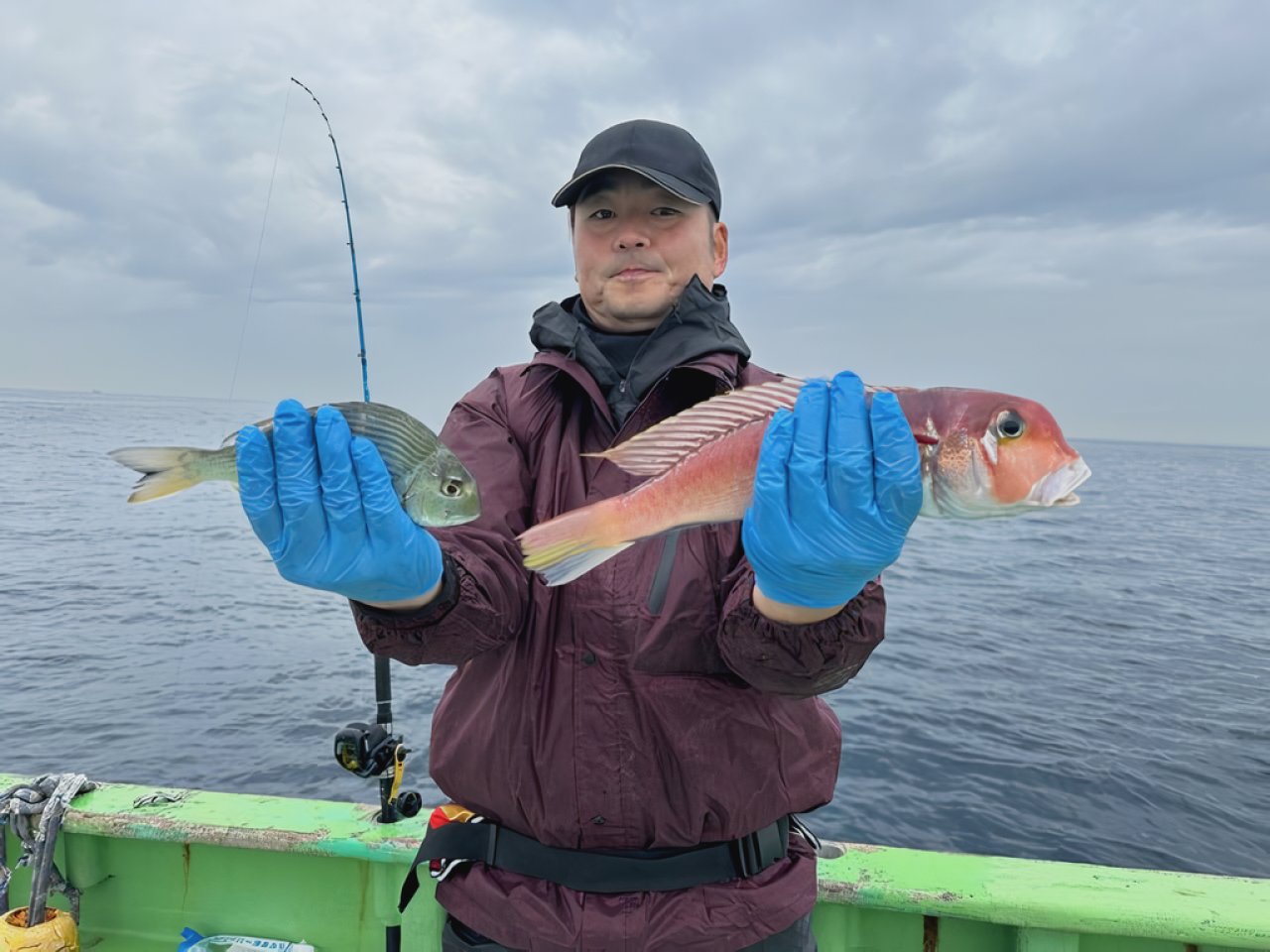 【釣果速報】神奈川県喜久丸アマダイ・ハナダイ・ホウボウと人気魚種続々ゲット！いろいろな魚との出会いを楽しみたい人は即予約を！