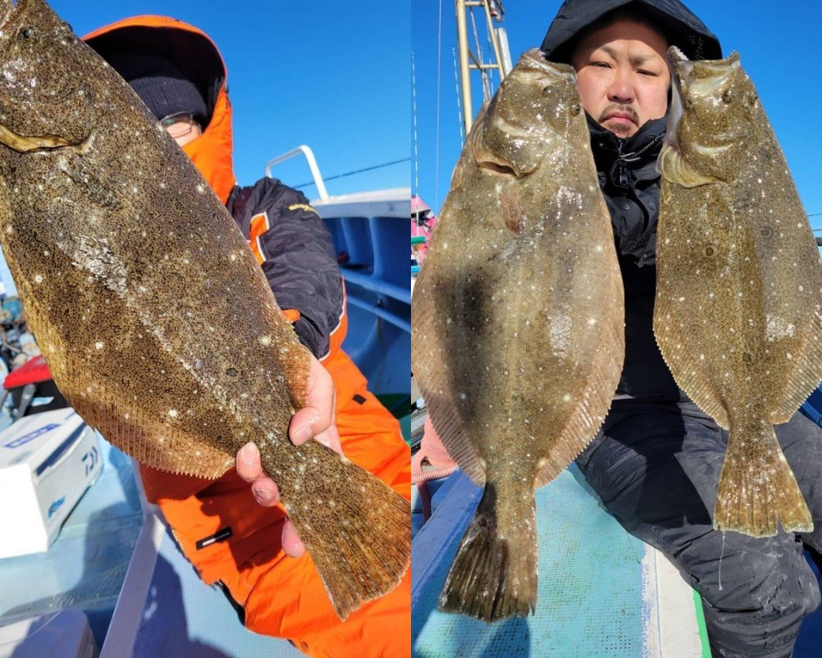 【釣果速報】茨城県幸栄丸で2kgオーバーの良型ヒラメがじゃんじゃん釣れてます！