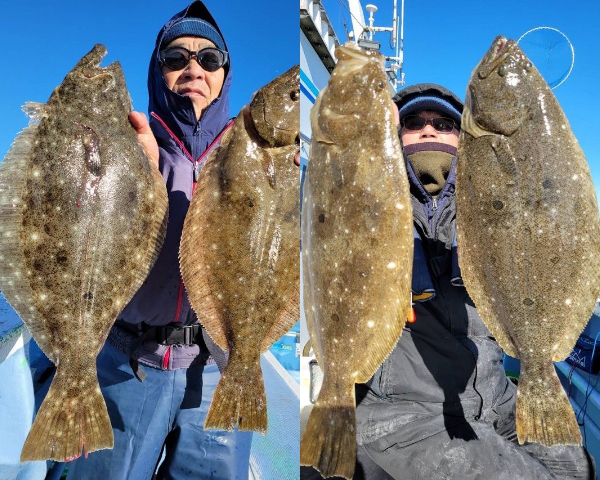 【釣果速報】茨城県幸栄丸で2.3kgオーバーの良型ヒラメがじゃんじゃん釣れてます！