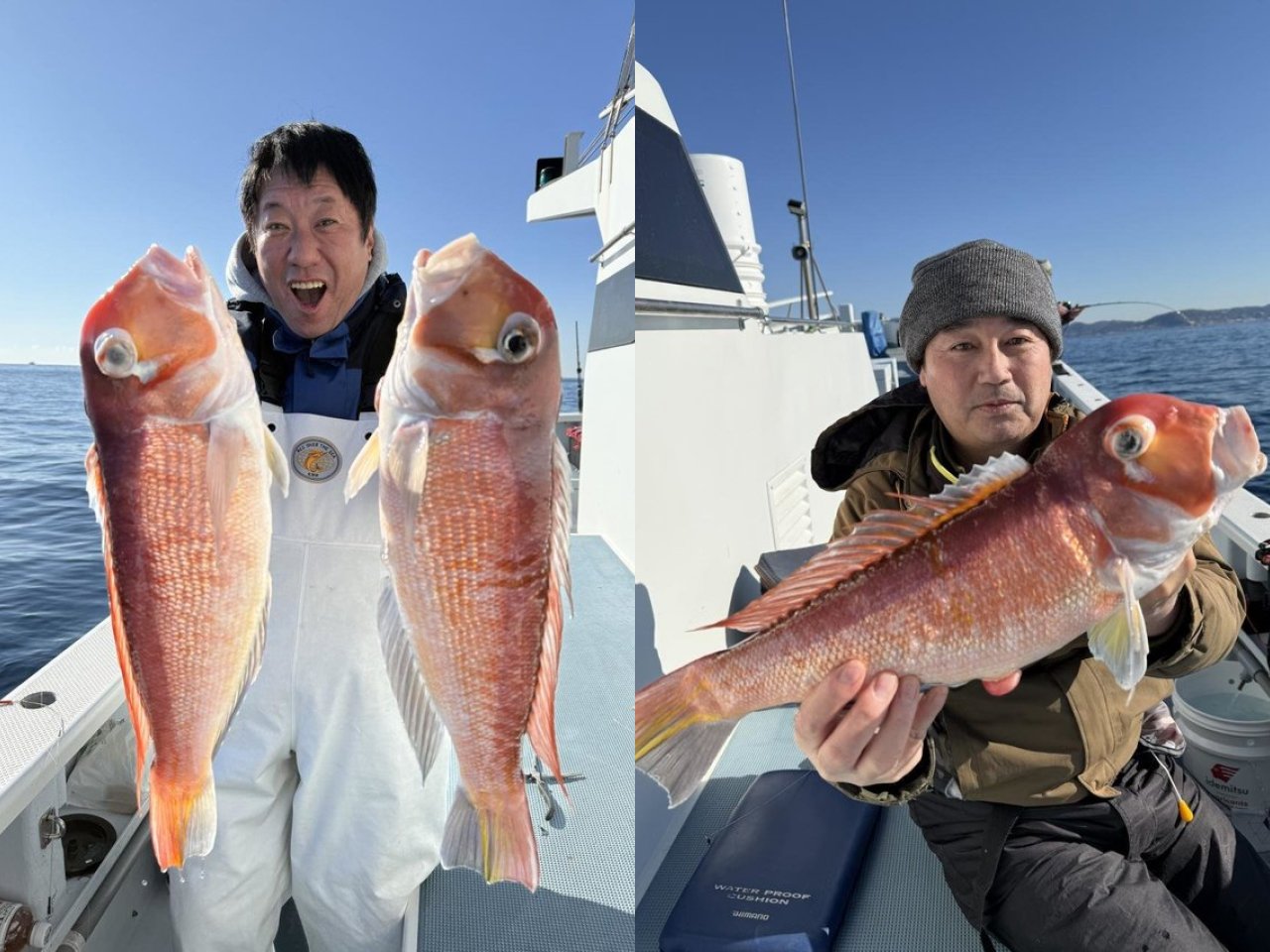 【釣果速報】モンスターアマダイ大量発生！神奈川県五エム丸で50cm超えの特大サイズを筆頭に大物続々キャッチ！