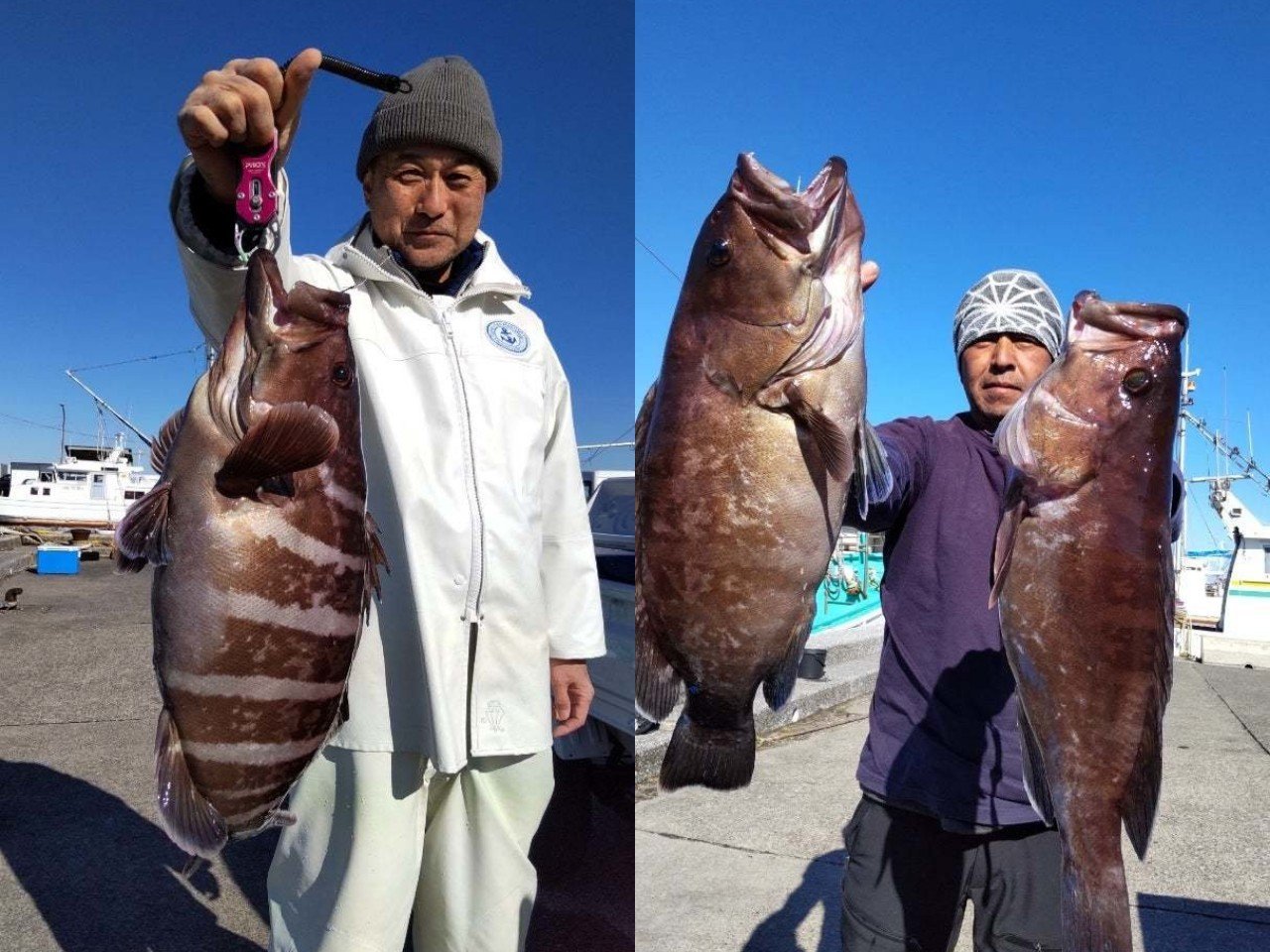 【釣果速報】千葉県加幸丸でマハタ絶好調！最大3.50kg！根魚獲るならすぐに乗船を！