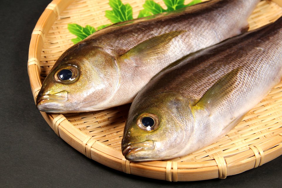 今が 旬 の魚だからうまい って言ってるその 旬 間違ってるかも ４種類の魚の 旬 の真実教えます