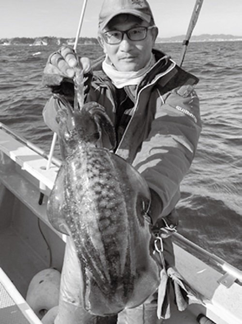 餌木シャクリでズシリ 剣崎沖のアオリイカ順調