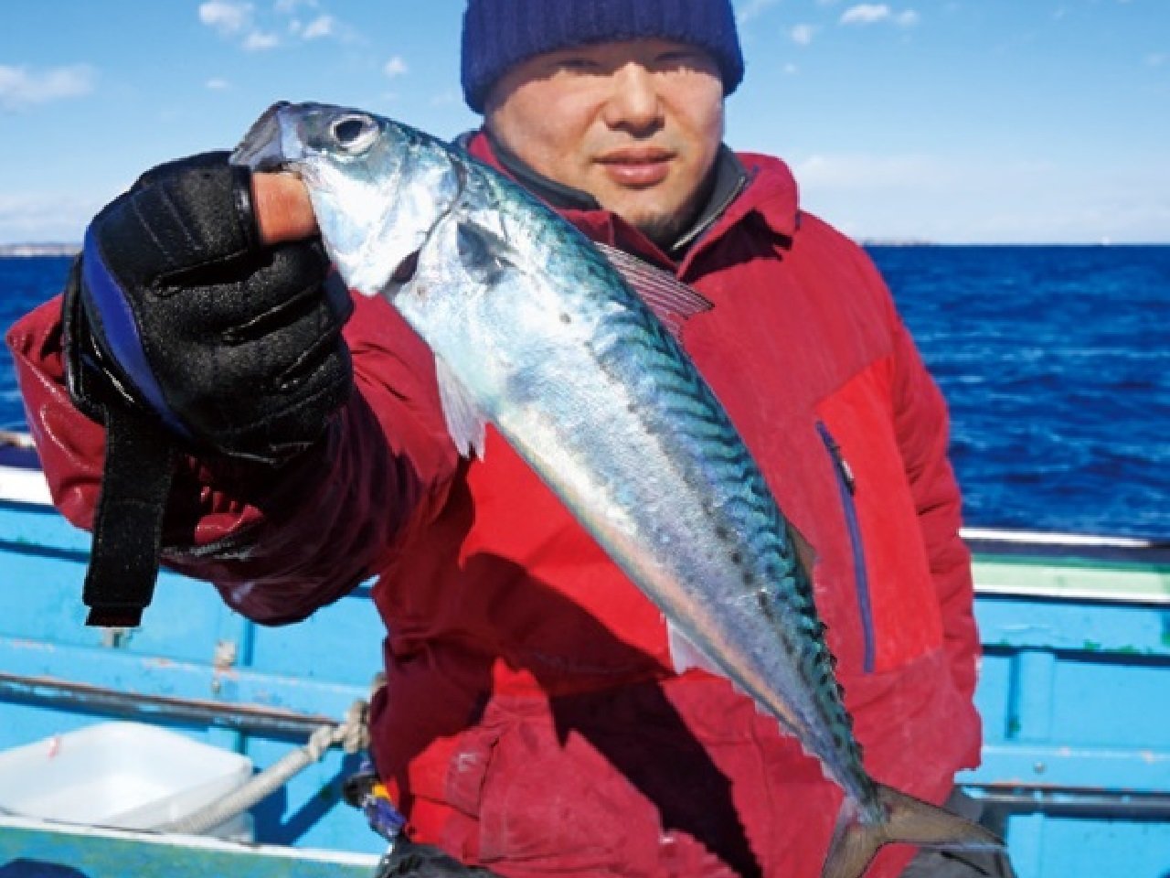 今が釣りどき！食べどき！寒サバ