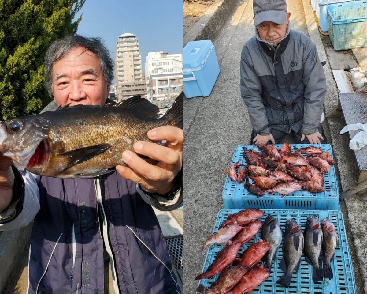 【釣果速報】兵庫県釣り船 名田屋はメバル・ガシラが連日大漁！今回は30cmの大物キャッチ！この勢いに今すぐ乗ろう！