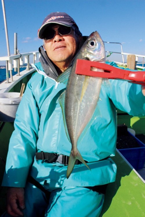 【大物釣りページ】 東京湾のビシアジ順調 中型主体に数釣り満喫