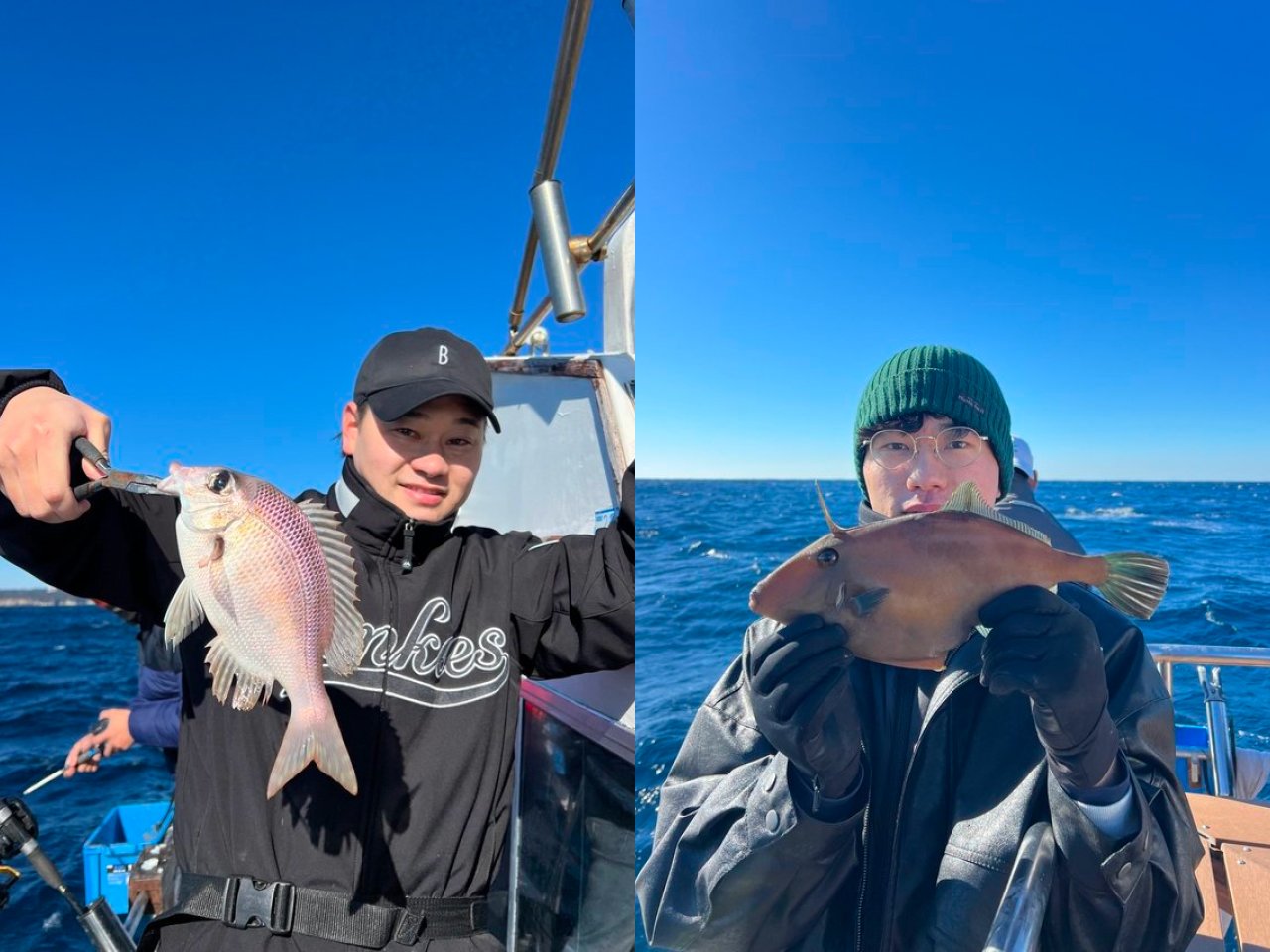 【釣果速報】メイチダイにウマズラハギ、カサゴ！千葉県With-Oceanに乗るとクーラーボックスが高級魚の宝石箱になるぞ！