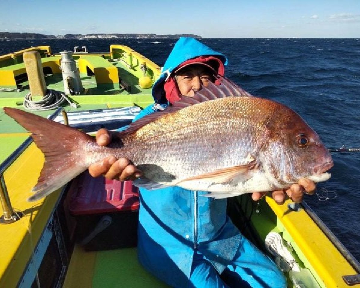 【釣果速報】神奈川県鴨下丸kawanaで3.04kgの特大マダイ出た！次にビッグワンを手にするのはあなたかも？！