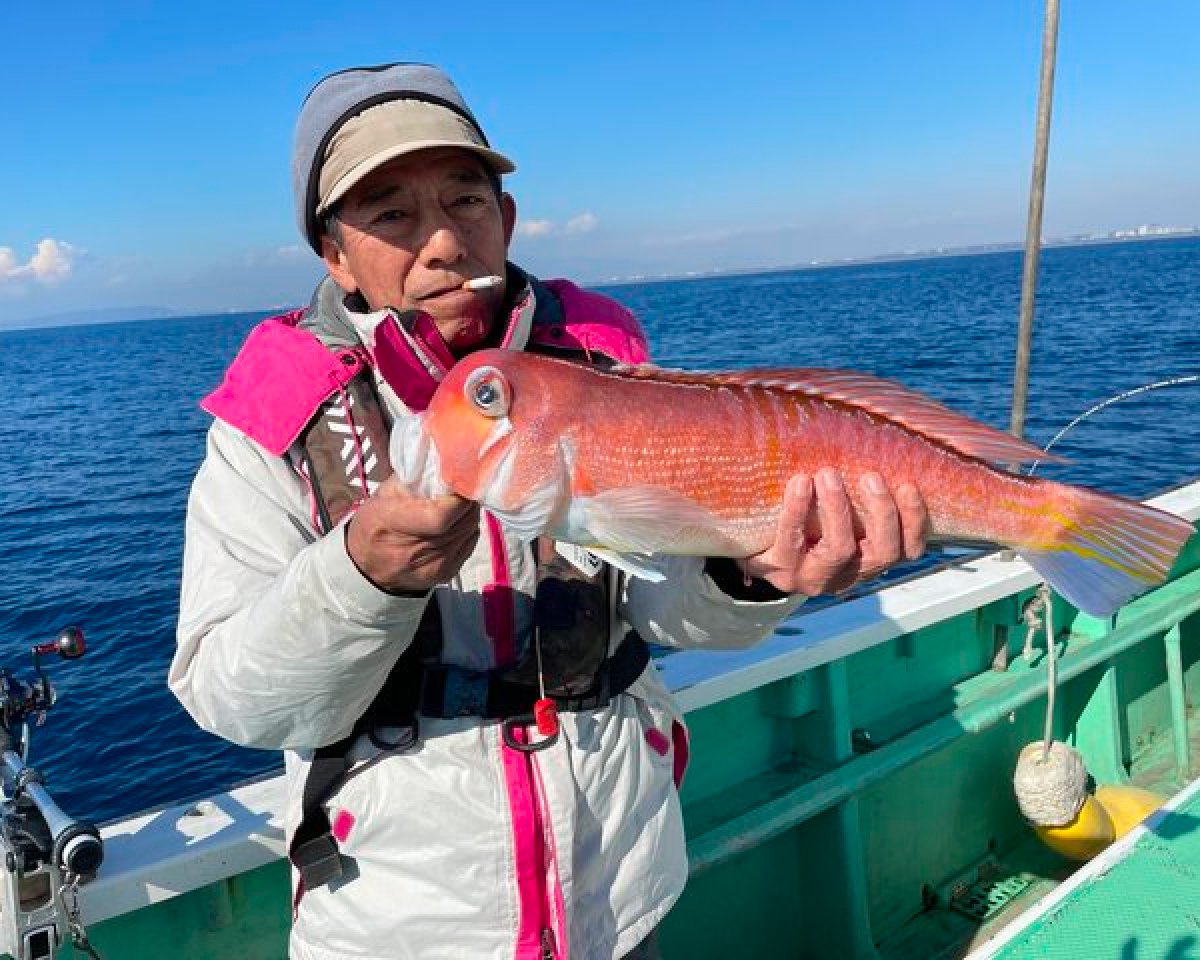 【釣果速報】神奈川県喜久丸で51cmの良型アマダイGET！ゲストは水族館が開けるぐらいバラエティ豊かに！一度の釣りでたくさんの魚たちとの出会いを楽しもう！