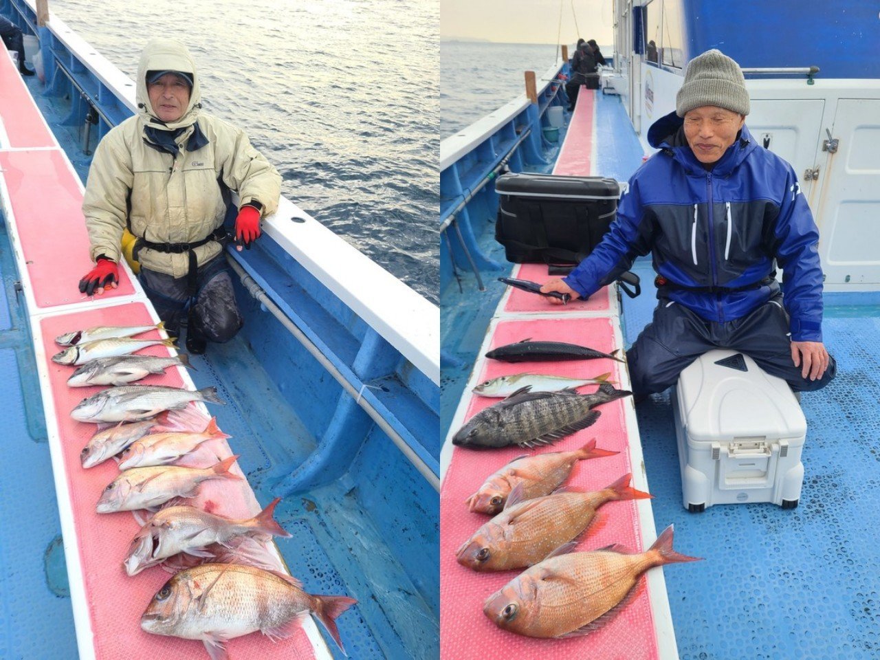 【釣果速報】神奈川県成銀丸でマダイ・クロダイ・マアジと人気魚種続々ゲット！いろいろな魚との出会いを楽しみたい人は即予約を！