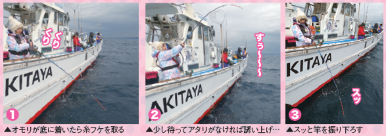 なおちゃんねる（第33回）］手軽で楽しい！ライト中深場五目