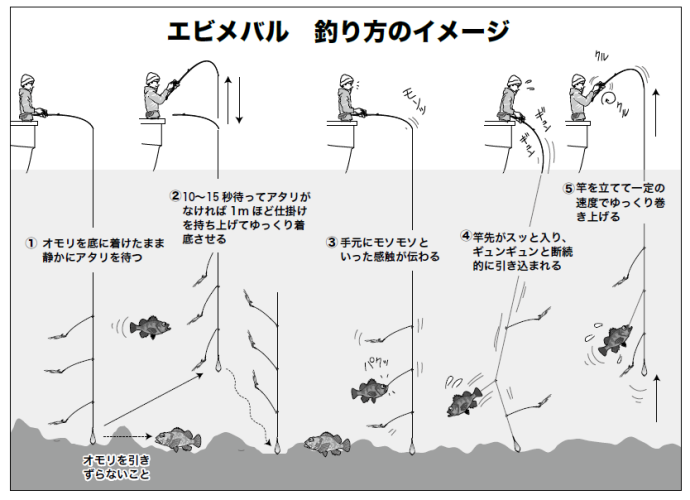 東京湾に春を告げる エビメバル開幕