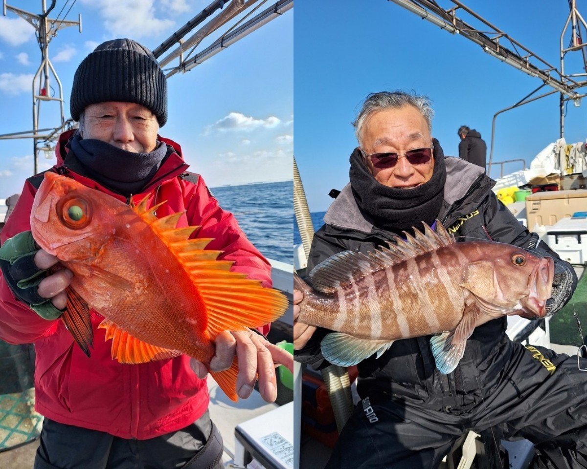 【釣果速報】アオナにタカバ、アラカブ！福岡県金生丸に乗るとクーラーボックスが高級魚の宝石箱になるぞ！