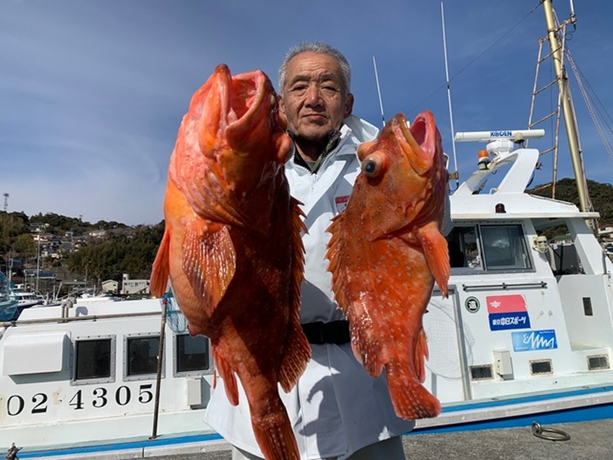 【釣果速報】良型カサゴ連続確保！短時間の出船でもお土産バッチリ！充実の釣行は静岡県久寿丸で！