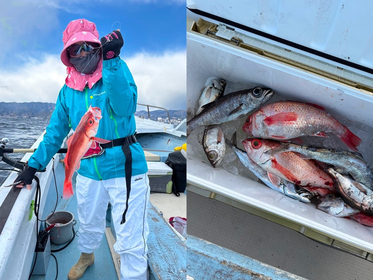 【釣果速報】静岡県安菜丸でアカムツ・クロムツ・ユメカサゴなど人気魚種を一網打尽に！大きさも質も大満足の釣行に出かけよう！