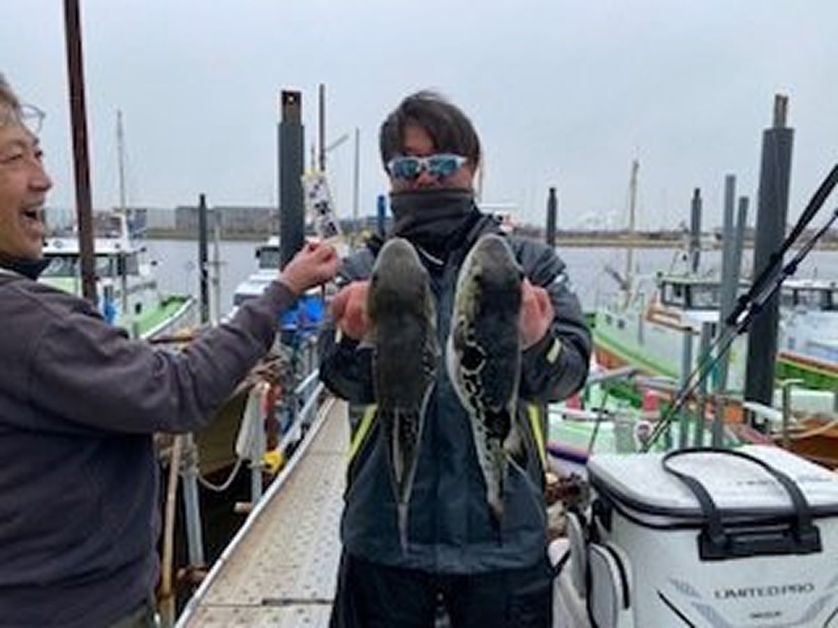 【釣果速報】東京都えさ政釣船店でまるまる太った極旨トラフグが大漁！質・量ともに大満足の釣りに出発だ！