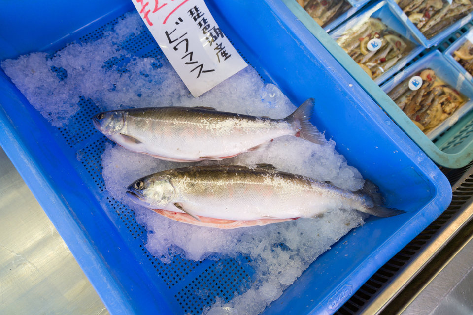 琵琶湖を代表する8種の魚介類を五感で楽しもう 琵琶湖の代表的な魚介類 琵琶湖八珍をご紹介