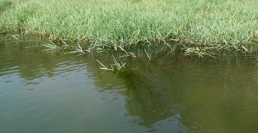 シャローエリア　写真