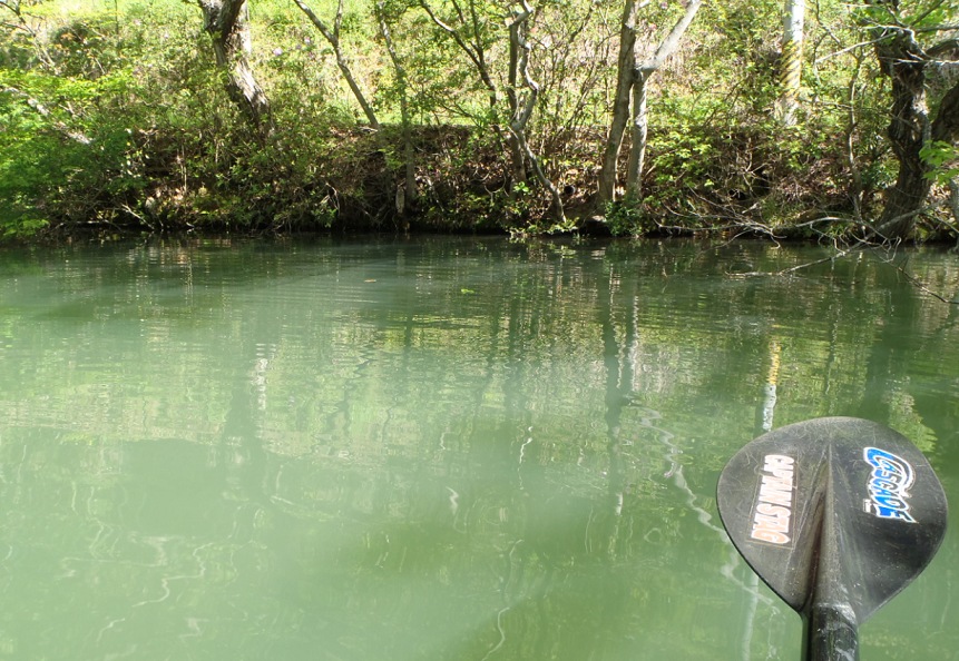 池　パドル　写真