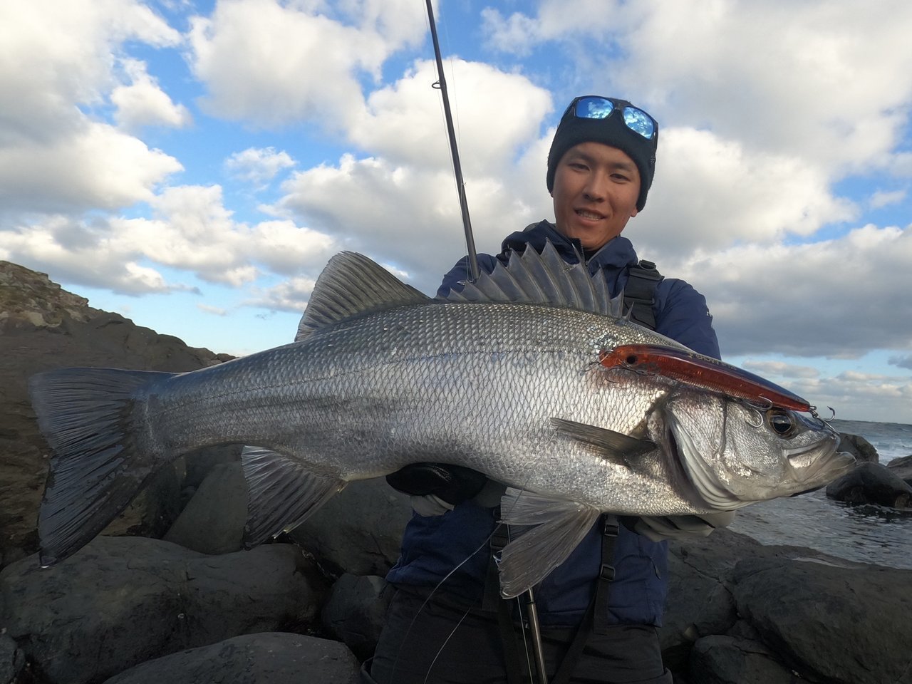 「チョビー SF125」「フラペンウィング S85」