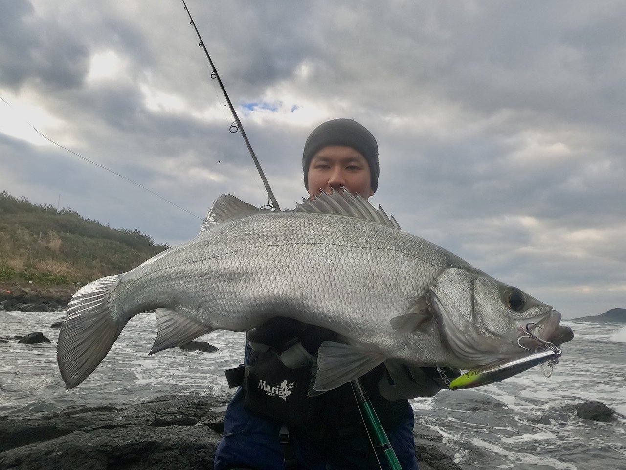 「チョビー SF125」「フラペンウィング S85」