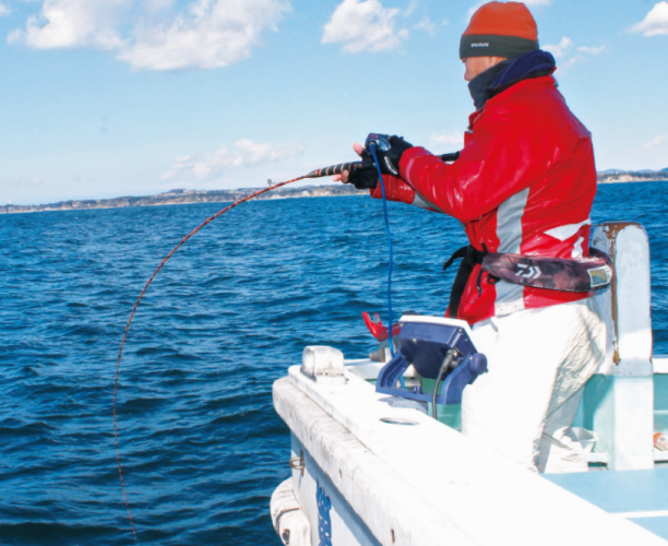 乗っ込みカウントダウン 剣崎沖の動向に注目