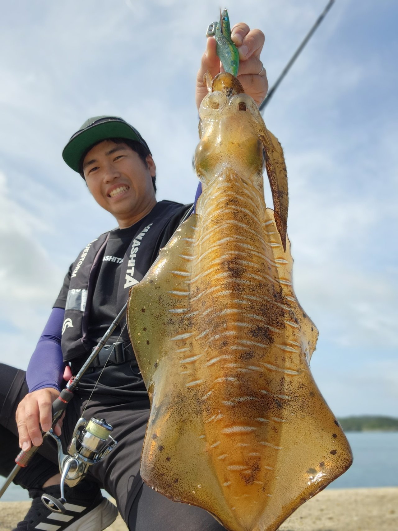 アオリイカ釣果