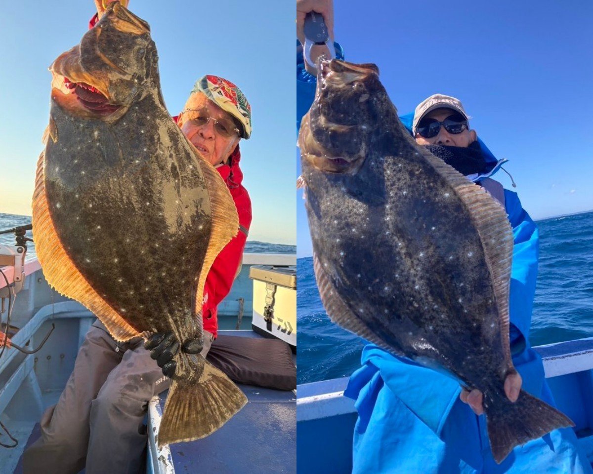 【釣果速報】千葉県第三松栄丸で獲れるヒラメがデカい！さあ、ビッグドリームを掴みに行こう！