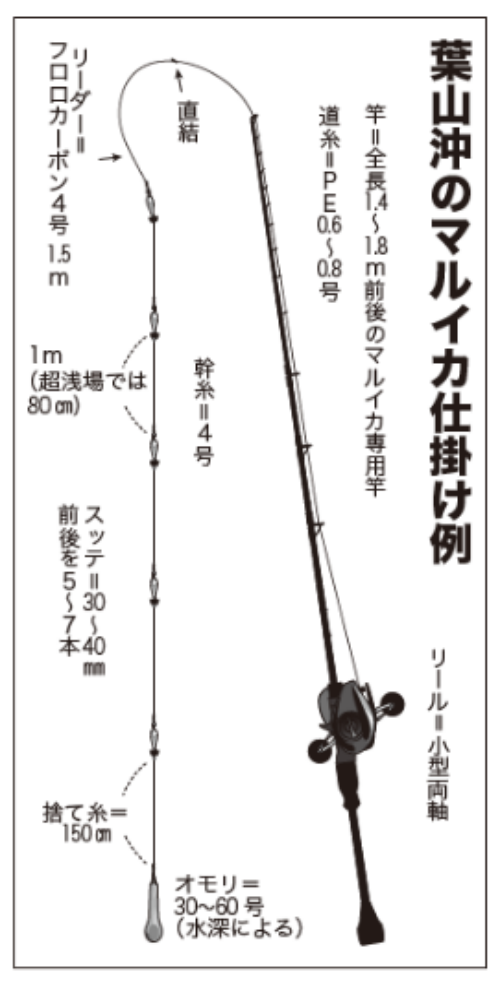 相模湾のマルイカ浅場へ！反応多くいよいよ最盛期