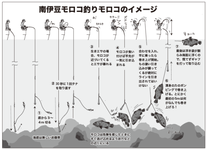 大型根魚の最高峰 南伊豆のモロコ盛期へ突入