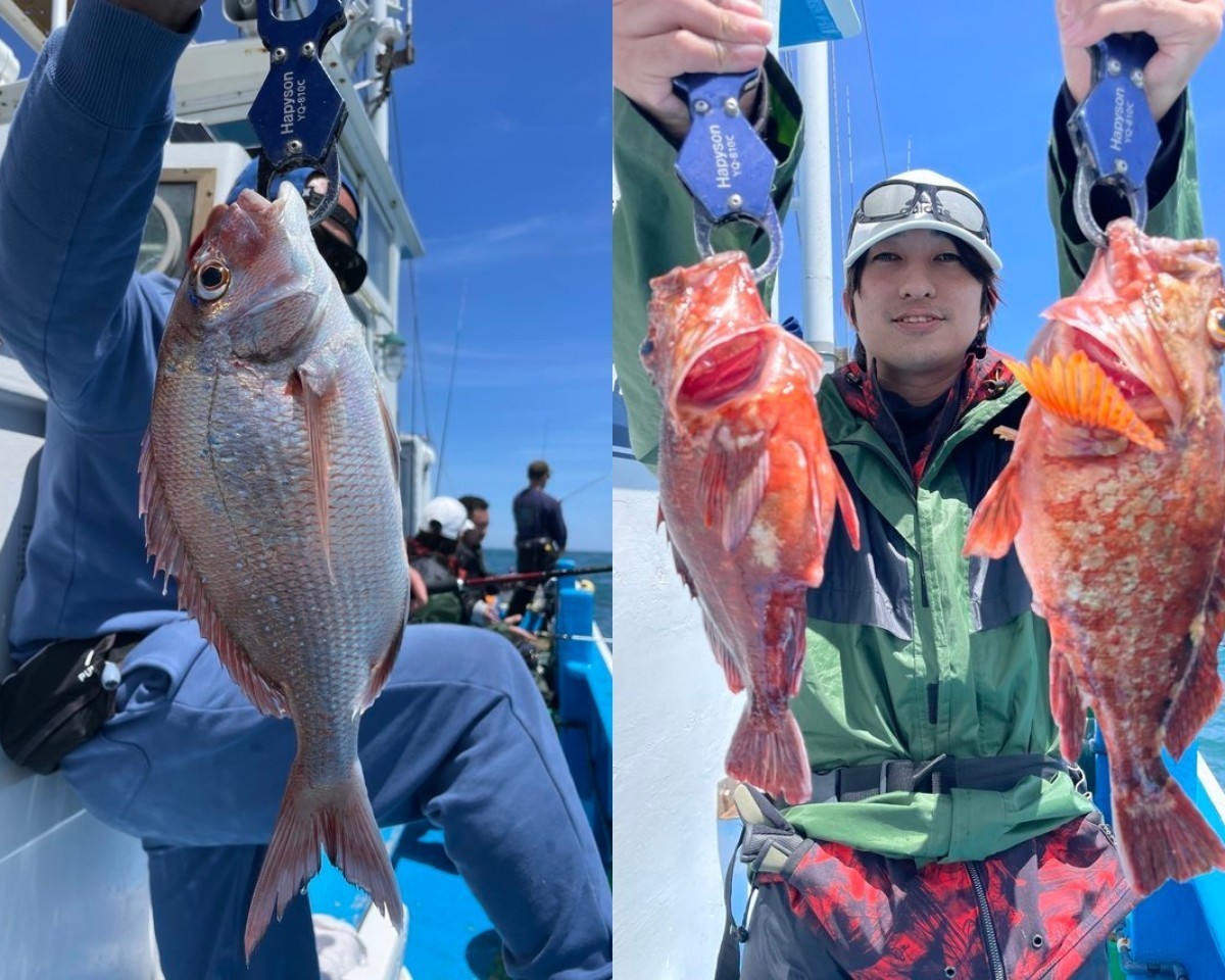 【釣果速報】茨城県ことぶき丸でマダイ0.6kgの良型ゲット！カサゴやアイナメも交じり豪華なお土産に！この船に決まり！