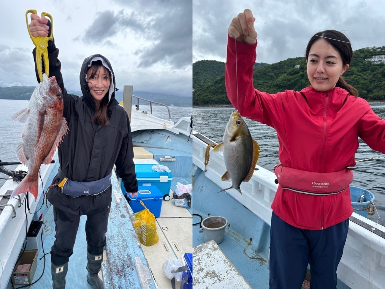 【釣果速報】小雨降る中、静岡県安菜丸で人気のマダイとイサキGET！今後も期待！