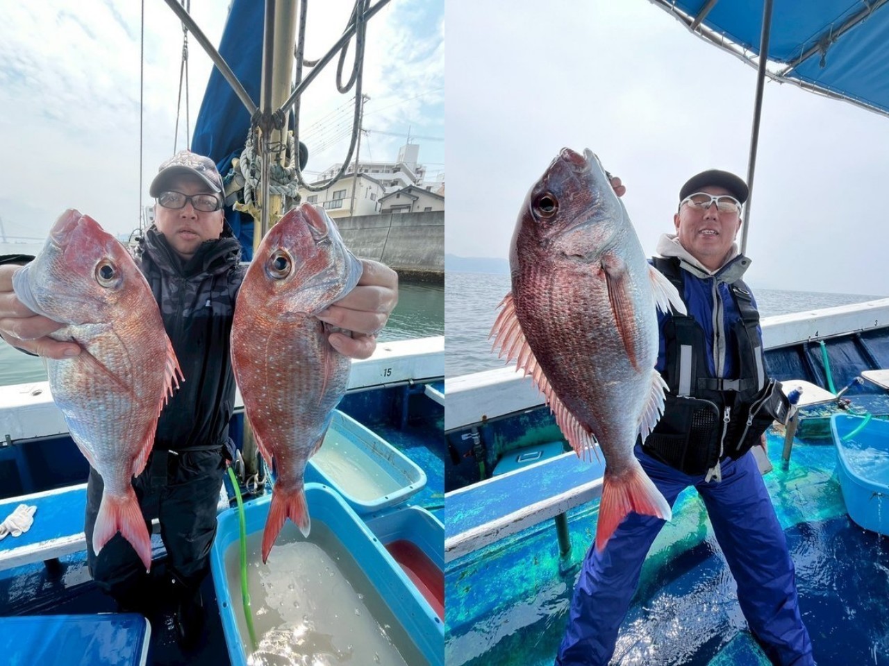 【釣果速報】タイ全体的に好調！最大55cm！！釣って楽しく食べて美味しいタイ釣行は兵庫県海蓮丸で叶います！