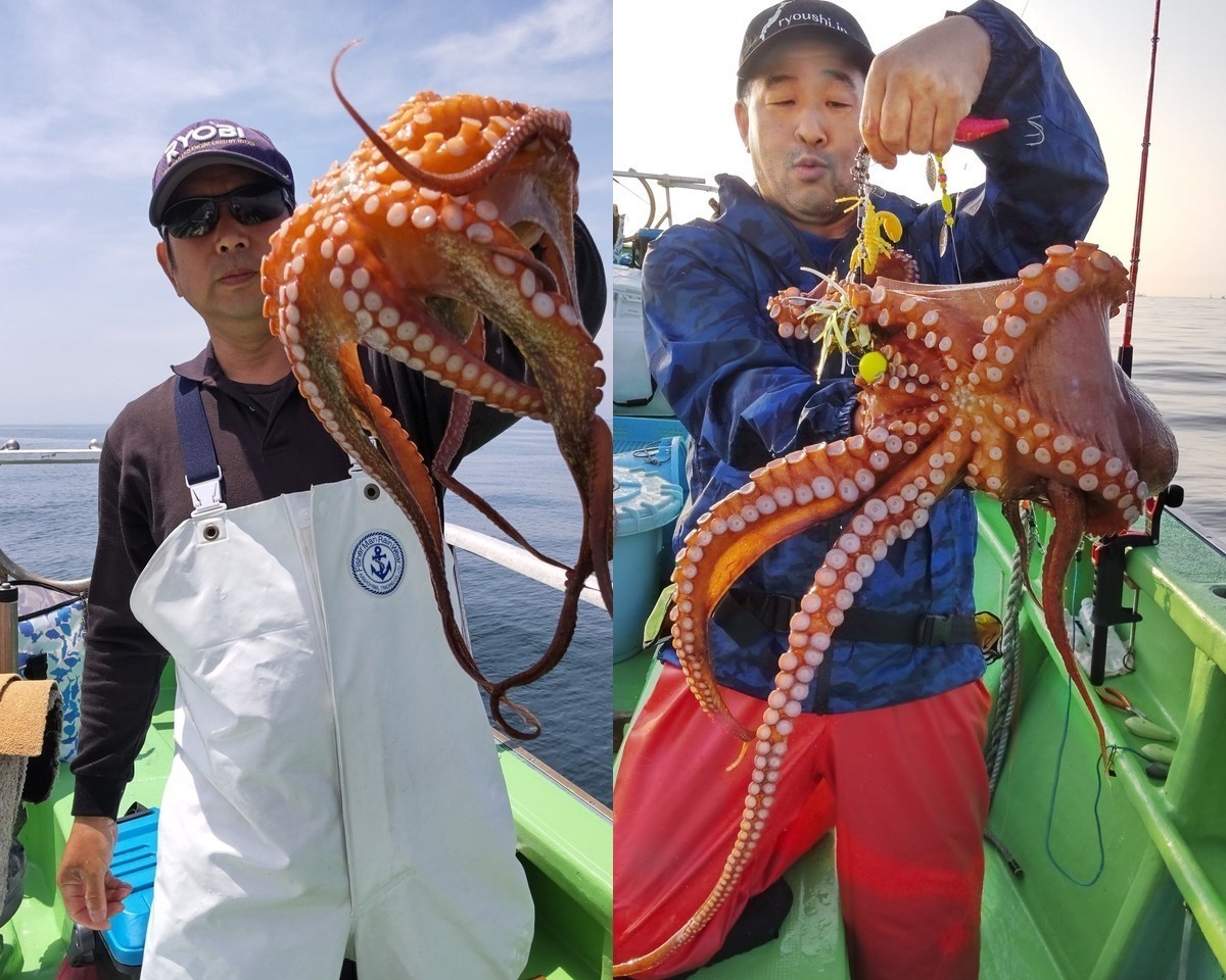 【釣果速報】茨城県仙昇丸でマダコが超快釣！サイズも最大2.0kgと釣りごたえバッチリ！モンスタータコを狙いに行きませんか？