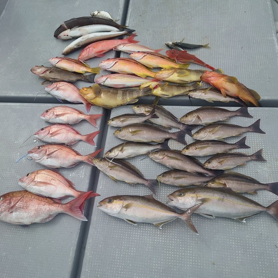 【釣果速報】マダイにイサキ！長崎県大吉丸に乗るとクーラーボックスが高級魚の宝石箱になるぞ！