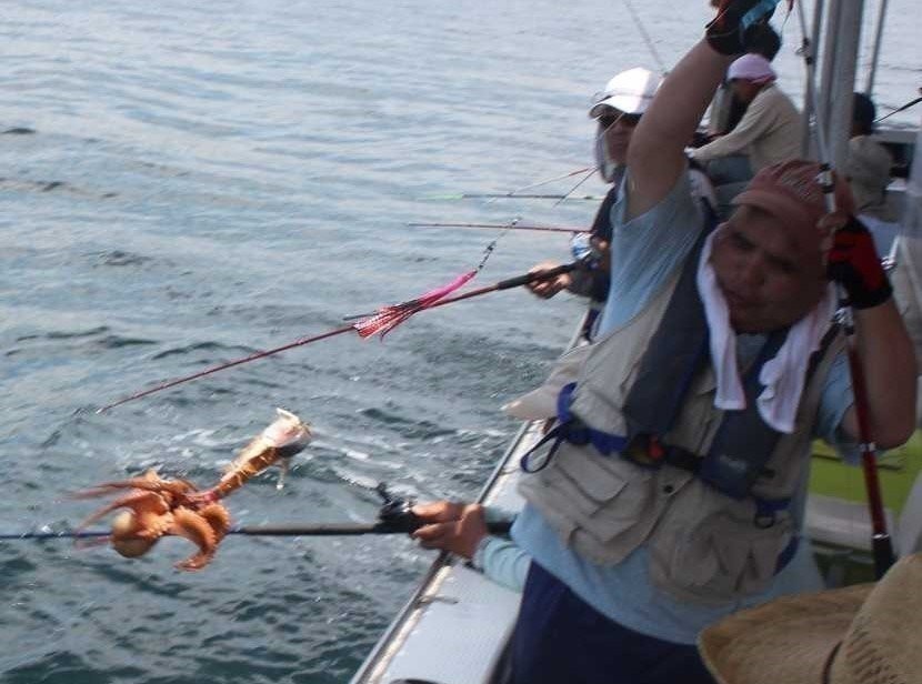 マダコ釣り　釣り人　写真
