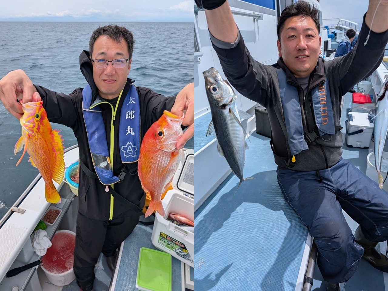 【釣果速報】神奈川県太郎丸で今日もギガアジ釣れる！釣り人憧れの巨大アジを狙うなら今すぐ乗船予約をしよう！
