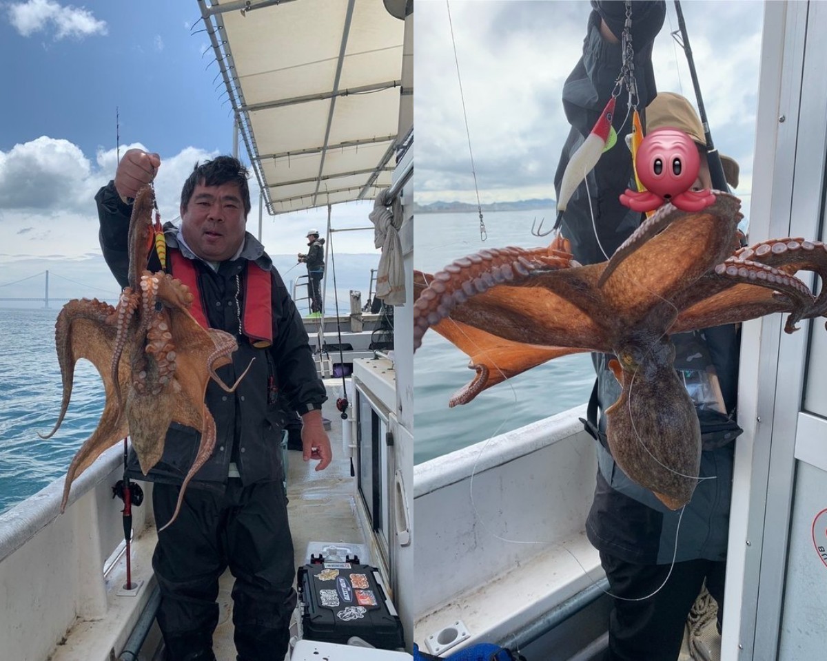 【釣果速報】3.1kgのモンスターマダコ確保！兵庫県釣り船 福三郎の船長が厳選するポイントで記録更新マダコを釣ろう！