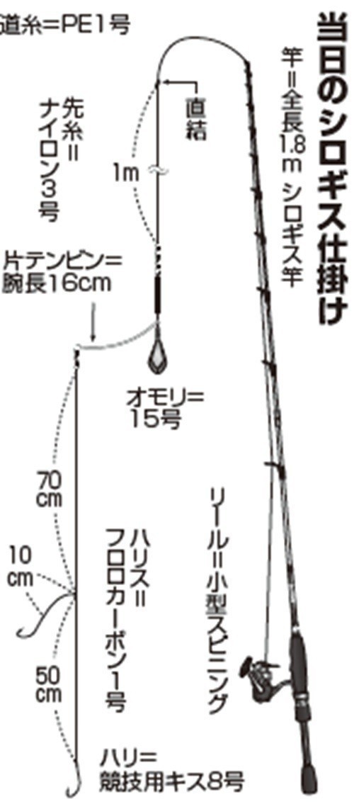 相模湾のシロギス好期 近場の浅場で好況 !!