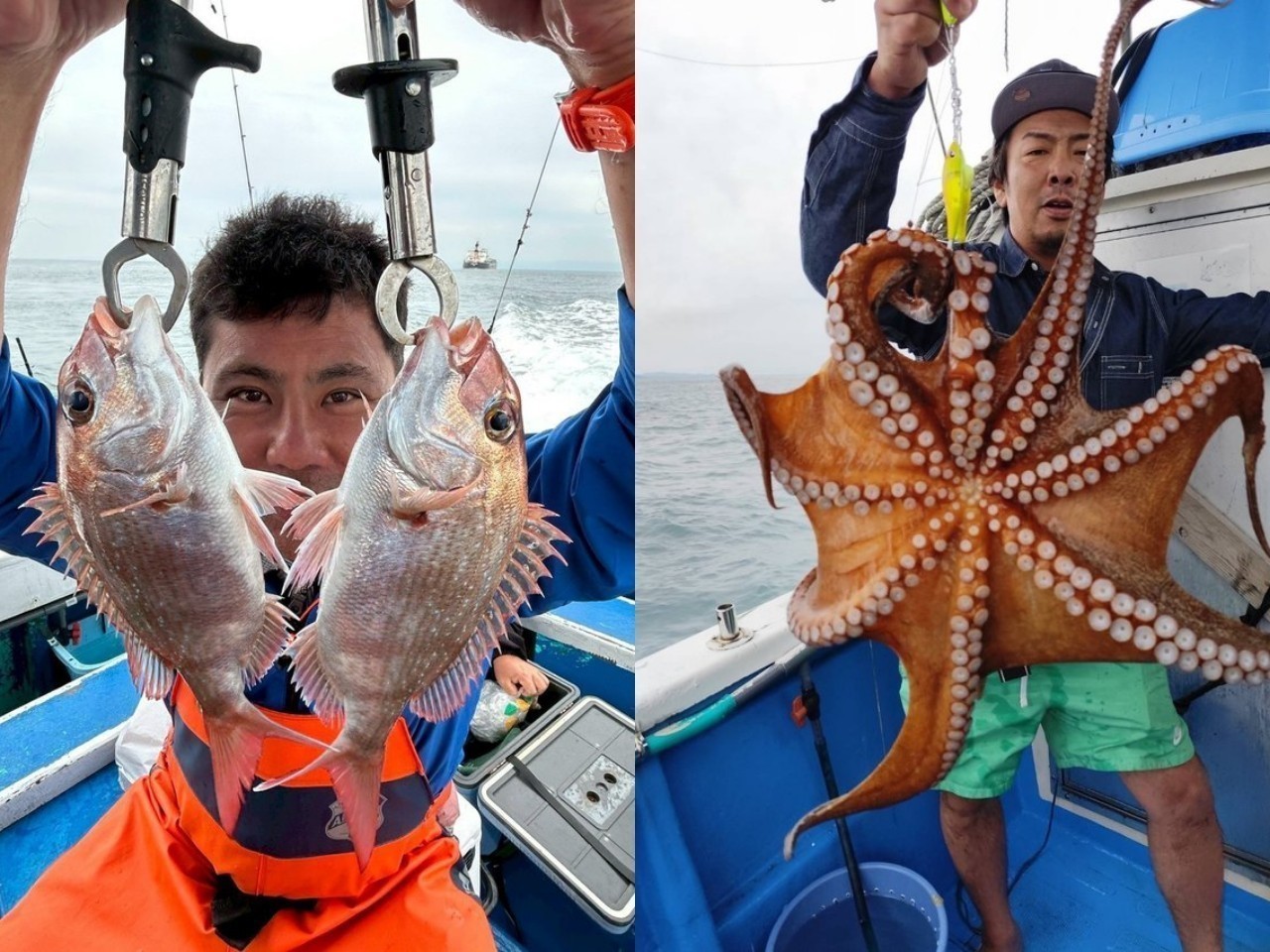 【釣果速報】兵庫県海蓮丸でタコGET達成！TOP25匹！好調の今、ぜひ乗船予約を！