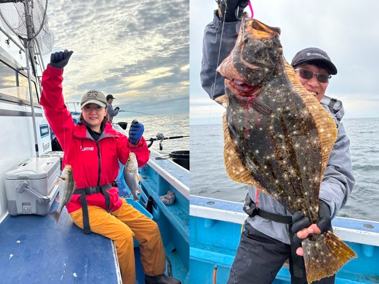 【釣果速報】千葉県第三松栄丸のイサキの釣果がバズってる！ダブル＆トリプルと多点掛けあり好調！釣れすぎて笑いが止まらない釣行を体験してみませんか？