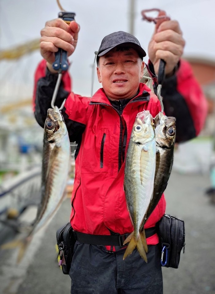 【釣果速報】良型アジがクーラーにぎっしり！神奈川県愛正丸で質も量も大満足の釣行を楽しもう！