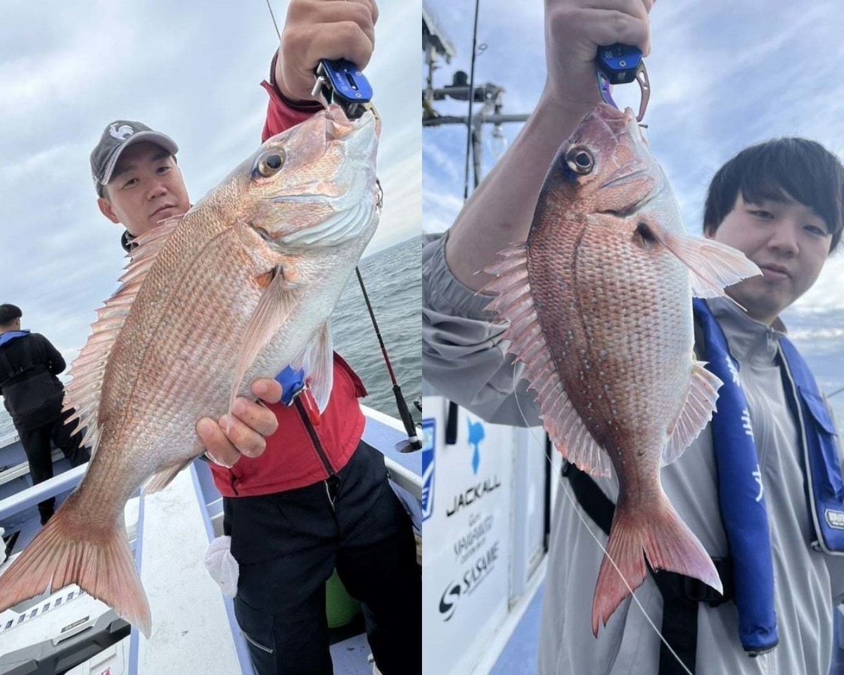 【釣果速報】マダイにハタ、カサゴ！千葉県新幸丸に乗るとクーラーボックスが高級魚の宝石箱になるぞ！