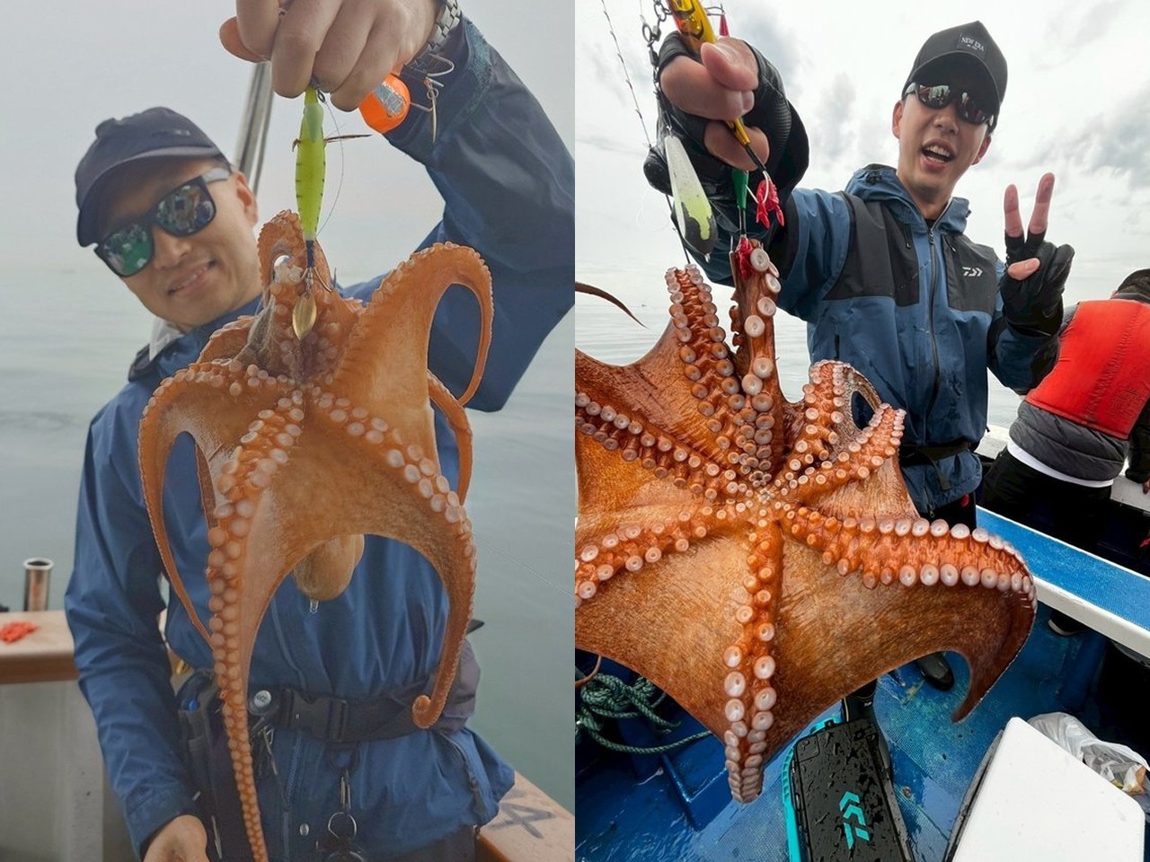 【釣果速報】兵庫県海蓮丸でダイナミックな70cmマダコをキャッチ！好調な今、良型を狙いに行こう！