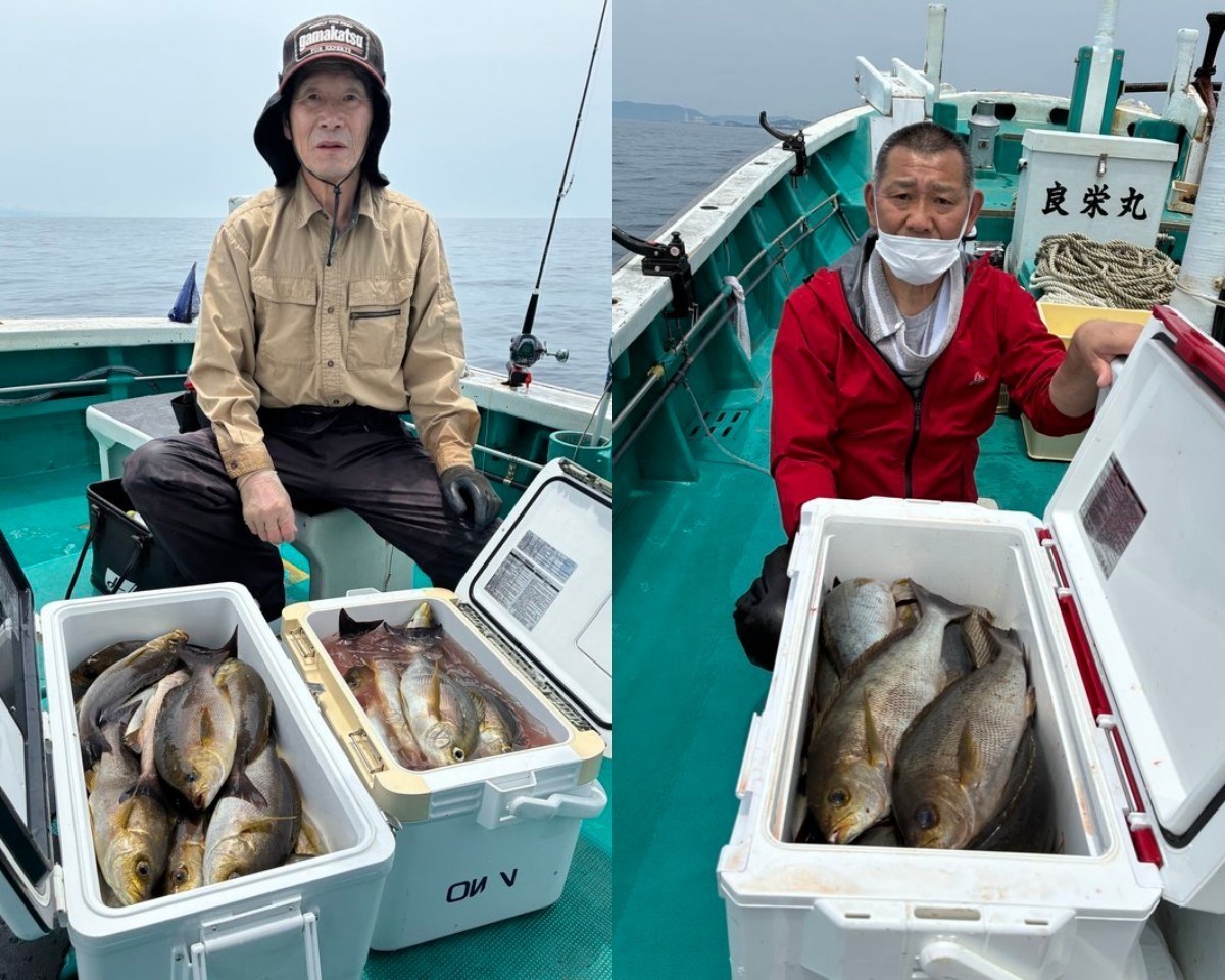【釣果速報】和歌山県良栄丸で朝からイサキ好調！竿頭は74匹！今なら一日中数釣りが楽しめます！