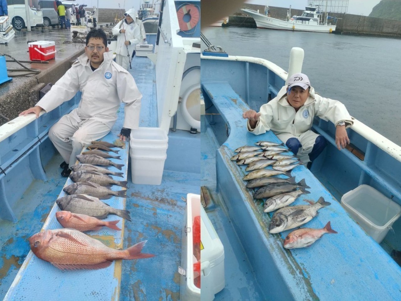 【釣果速報】神奈川県成銀丸でマダイ・クロダイ・メジナ他と海の人気者を次々GET！多種多様な魚と出会いたいなら今すぐ乗船を！